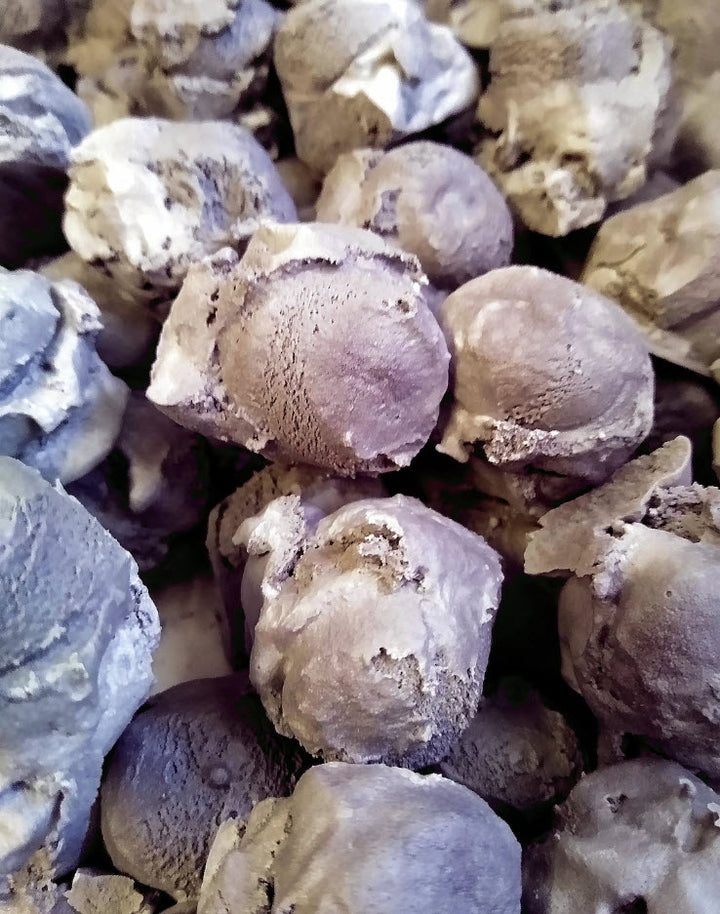 Freeze Dried Ice Cream - Black Licorice