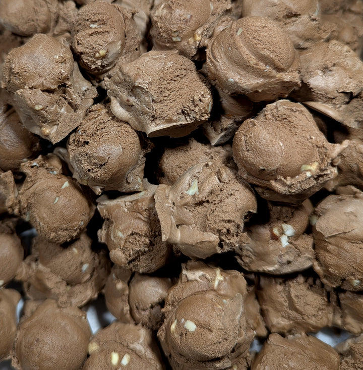 Freeze Dried Ice Cream -- Burnt Almond Fudge