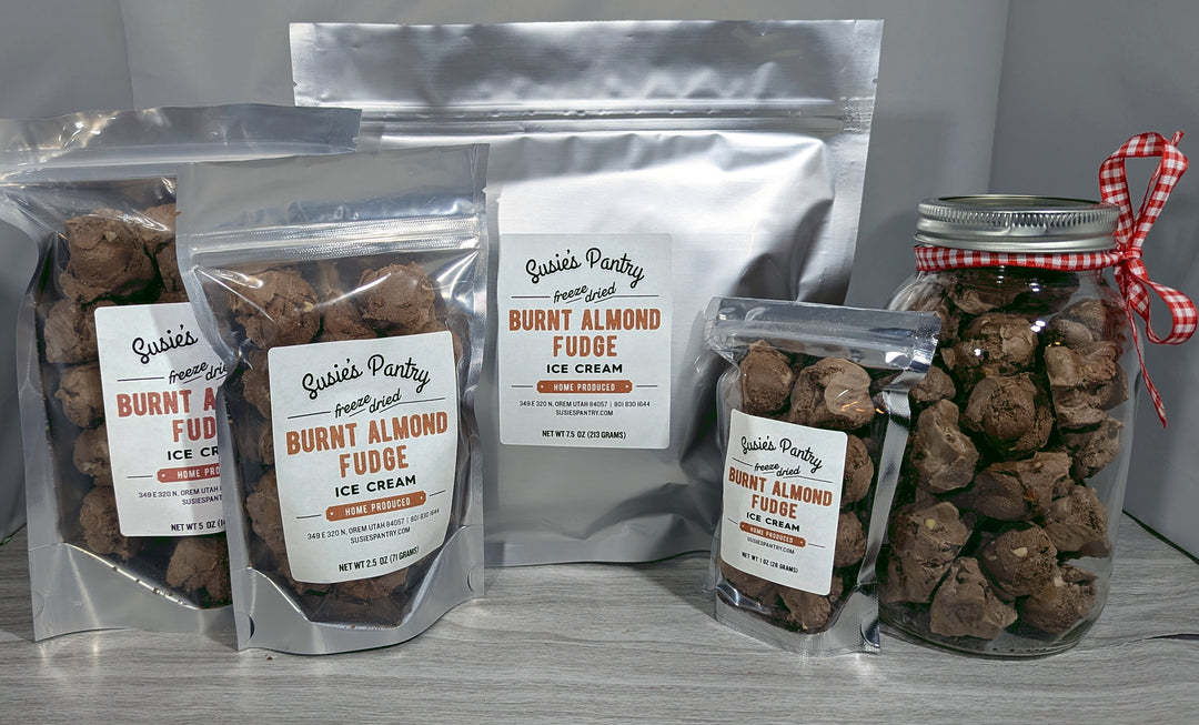Freeze Dried Ice Cream -- Burnt Almond Fudge