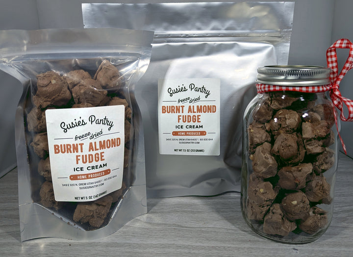 Freeze Dried Ice Cream -- Burnt Almond Fudge