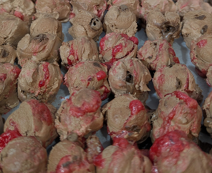 Freeze Dried Ice Cream - Chocolate Cherry Nut Truffle