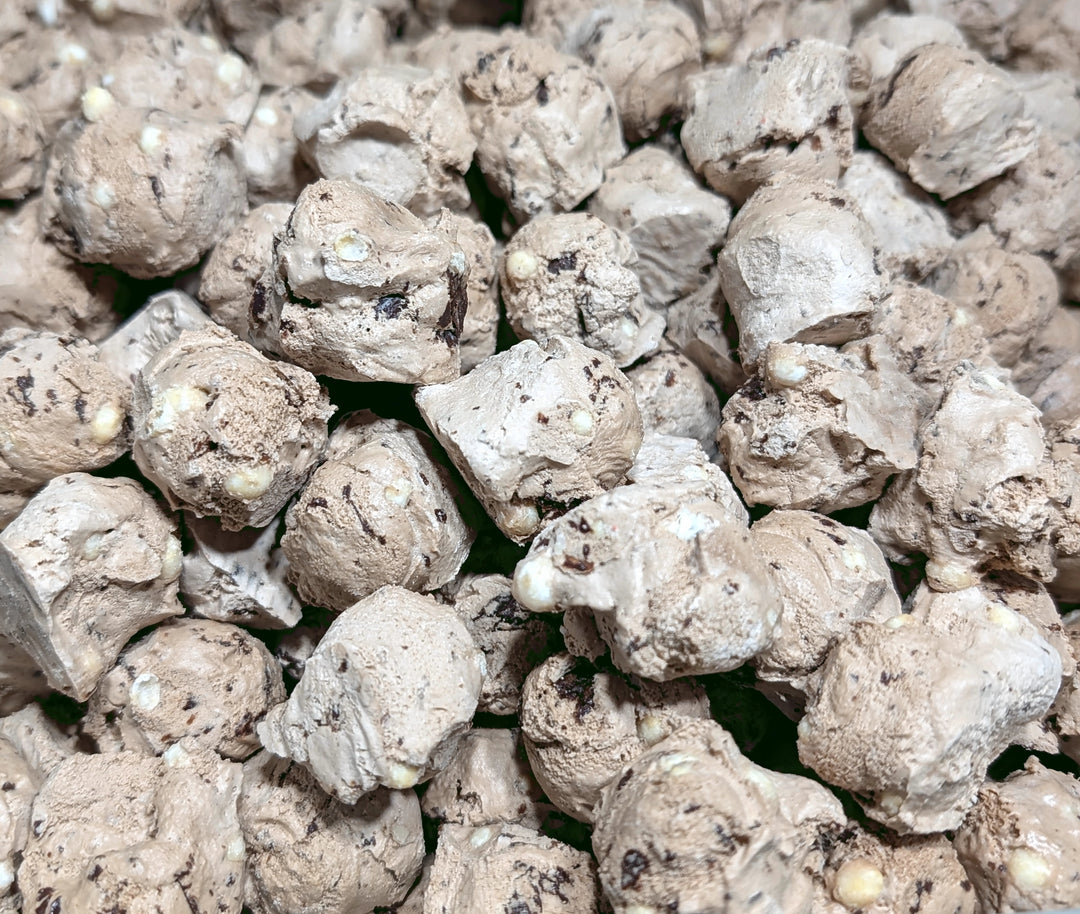 Freeze Dried Ice Cream - Chocolate Malted Krunch
