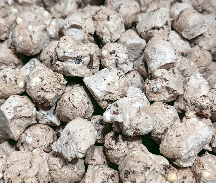 Freeze Dried Ice Cream - Chocolate Malted Krunch