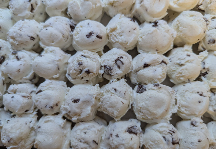 Freeze Dried Ice Cream - Coconut Chocolate Chip