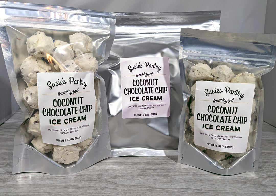 Freeze Dried Ice Cream - Coconut Chocolate Chip