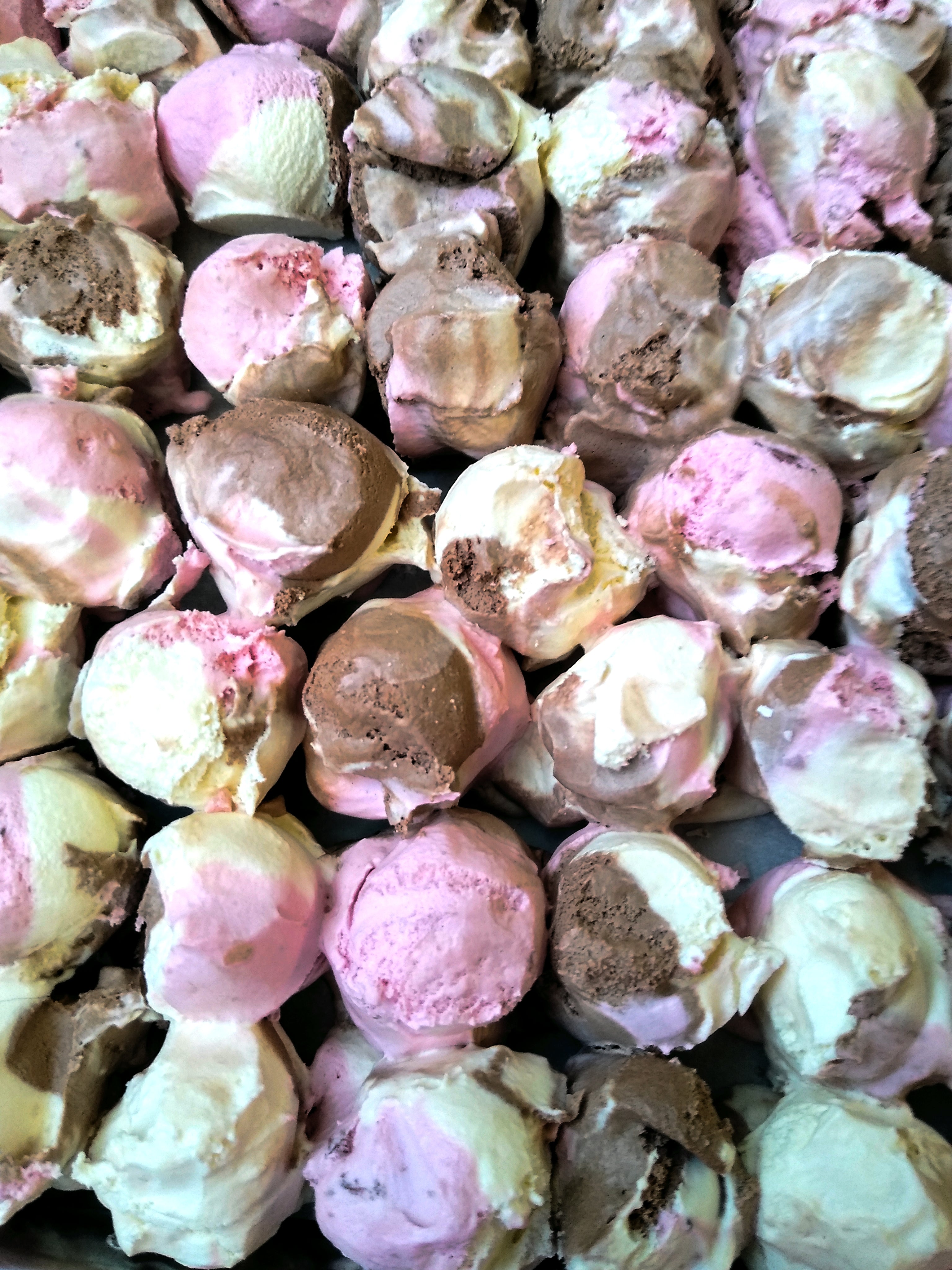 Freeze Dried Ice Cream - Neapolitan – Susie's Pantry