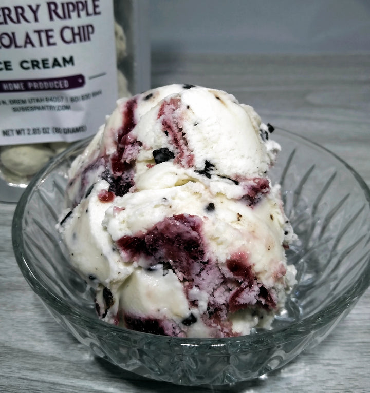 Freeze Dried Ice Cream - Raspberry Ripple Chocolate Chip