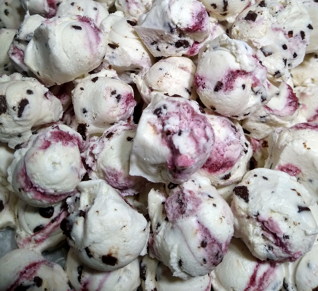 Freeze Dried Ice Cream - Raspberry Ripple Chocolate Chip