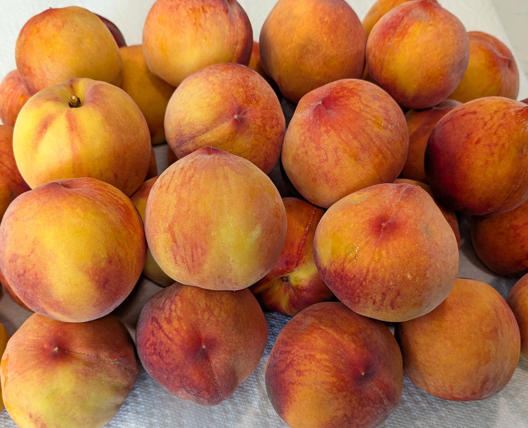 Freeze Dried Peaches
