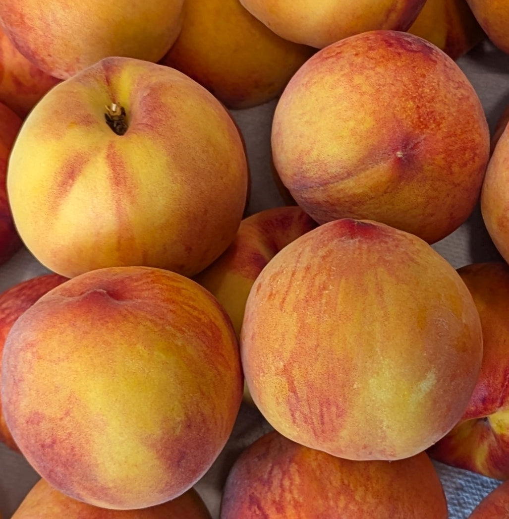 Freeze Dried Peaches