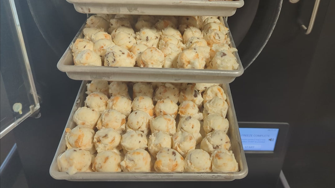 Freeze Dried Ice Cream - Peanut Butter Crunch