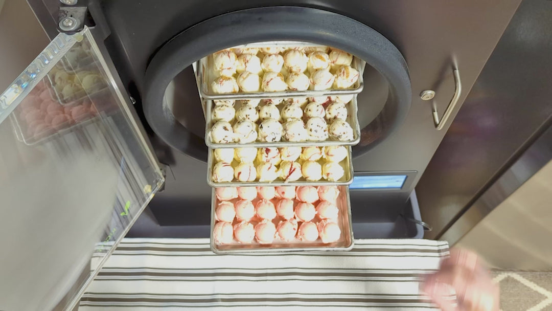 Freeze Dried Ice Cream - White Chocolate Raspberry