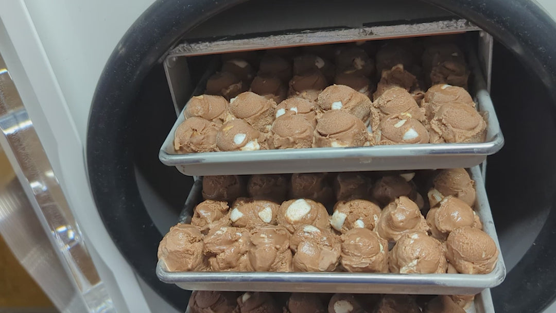 Freeze Dried Ice Cream - Rocky Road