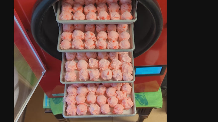Freeze Dried Ice Cream - Peppermint