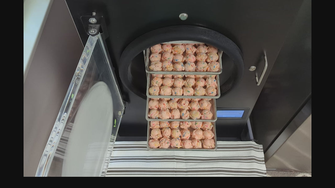 Freeze Dried Ice Cream - Birthday Cake