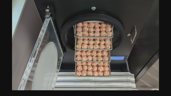 Freeze Dried Ice Cream - Birthday Cake