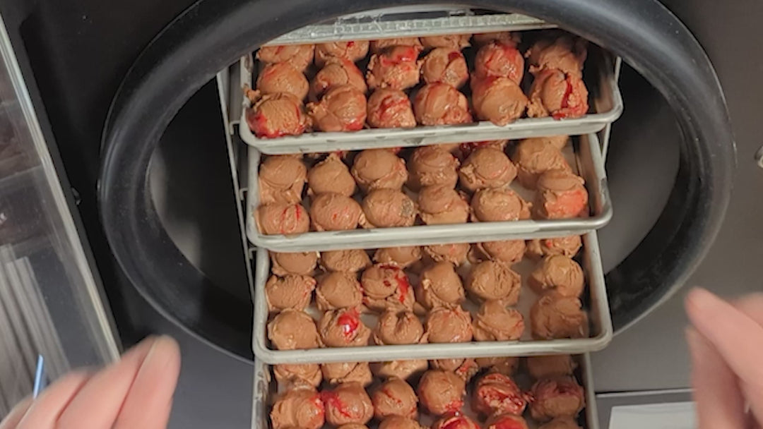 Freeze Dried Ice Cream - Chocolate Cherry Nut Truffle