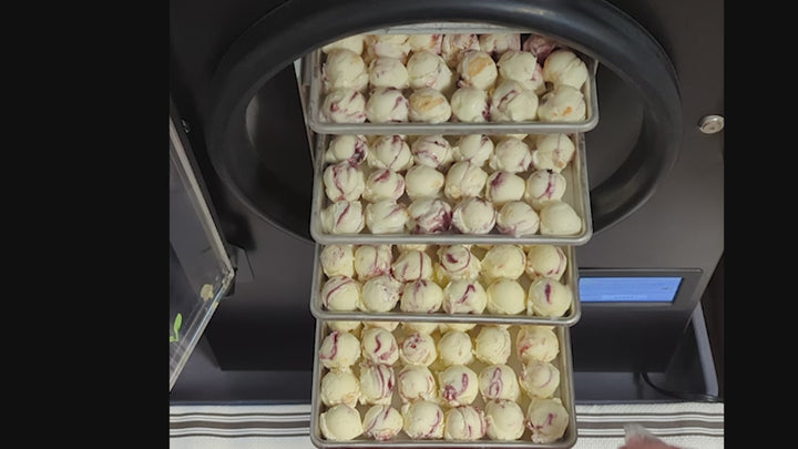 Freeze Dried Ice Cream - Huckleberry Pie