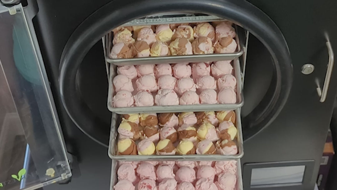 Freeze Dried Ice Cream - Neapolitan