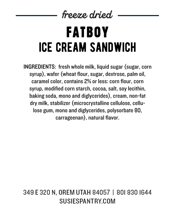 Freeze Dried Ice Cream Bites - Vanilla Ice Cream Sandwich