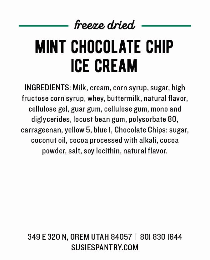 Freeze Dried Ice Cream - Mint Chocolate Chip