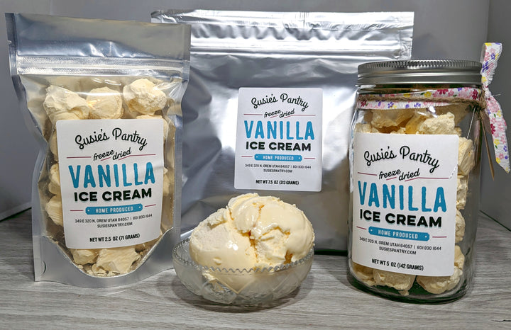 Freeze Dried Ice Cream - Vanilla